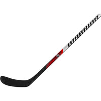 Warrior Rise Youth Hockey Stick - 20 Flex (2024)